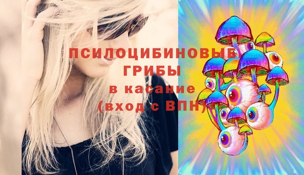 твердый Карталы