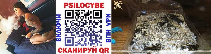 купить наркотик  Красноперекопск  кракен сайт  Галлюциногенные грибы Cubensis 