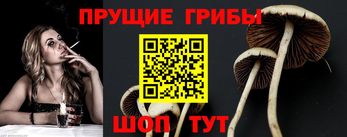 Псилоцибиновые грибы Psilocybine cubensis Красноперекопск