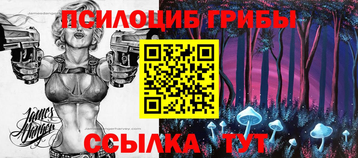 Красноперекопск  Галлюциногенные грибы Cubensis  Вход с VPN 
